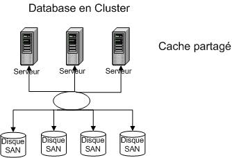 Cluster